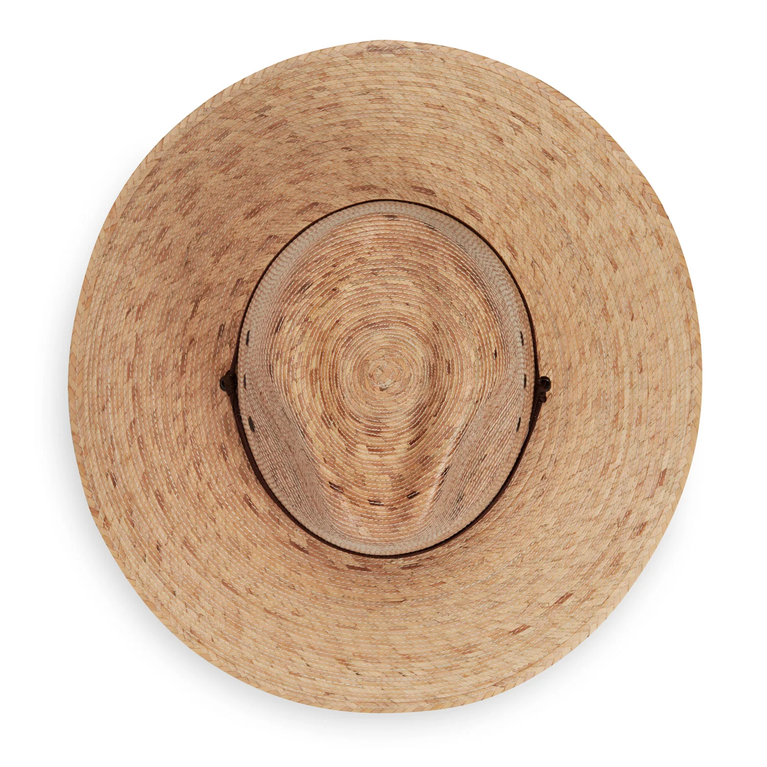 Baja - Image 4