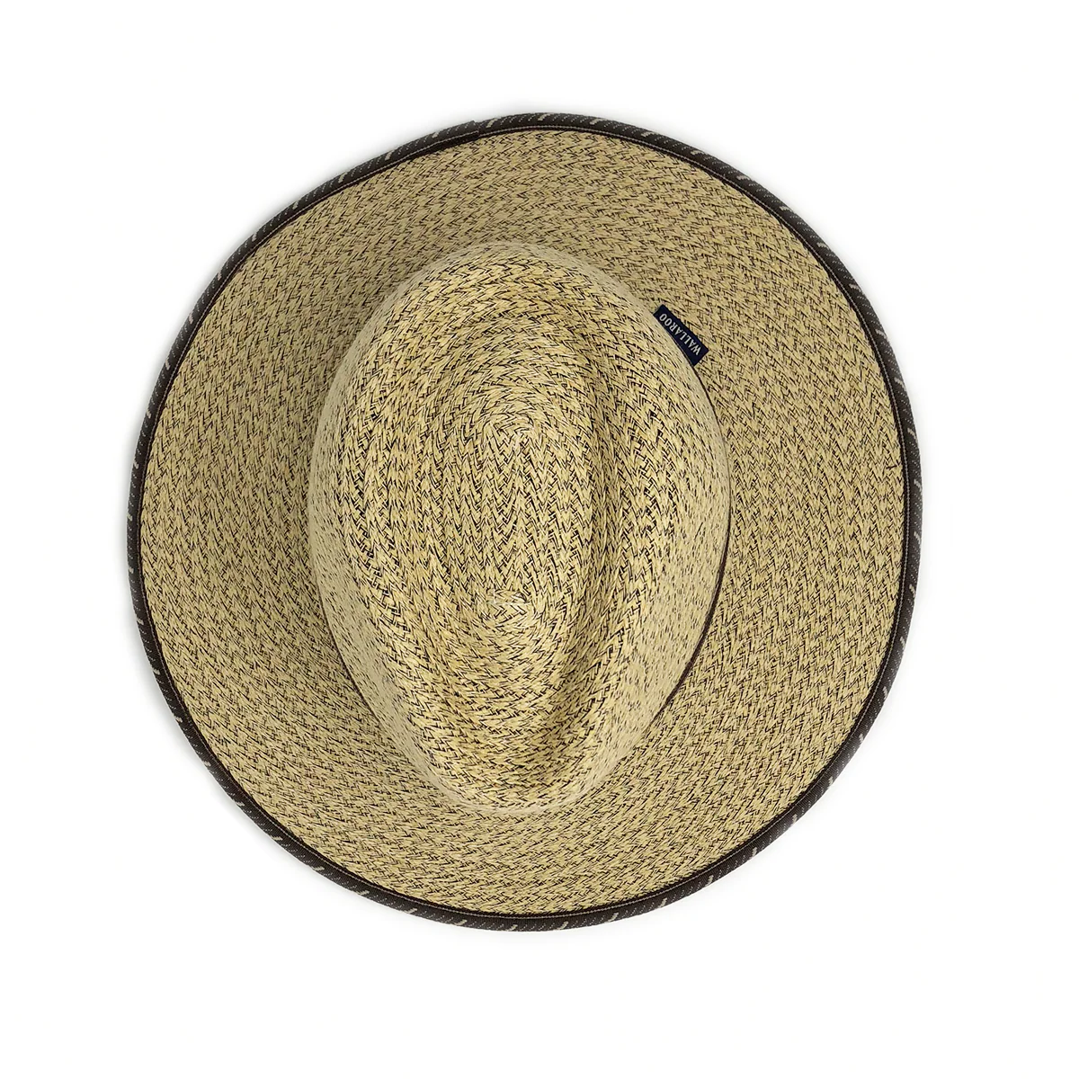 Cabo - Image 3