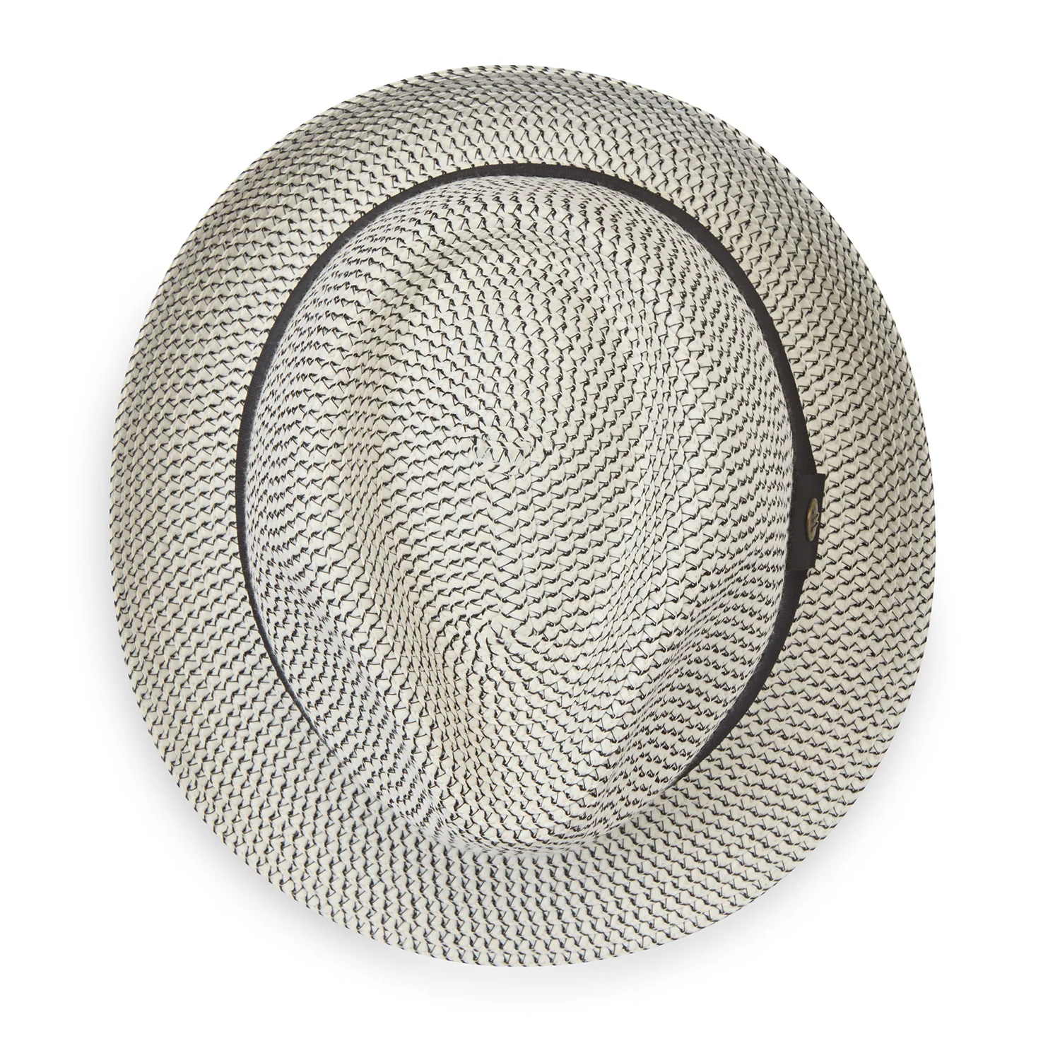 Charlie Trilby - Image 7