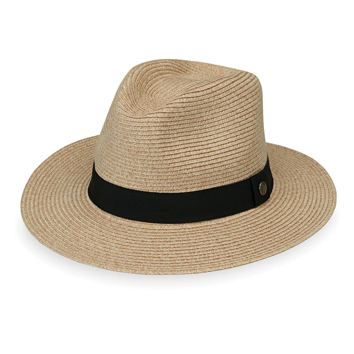 Palm Beach - Image 5