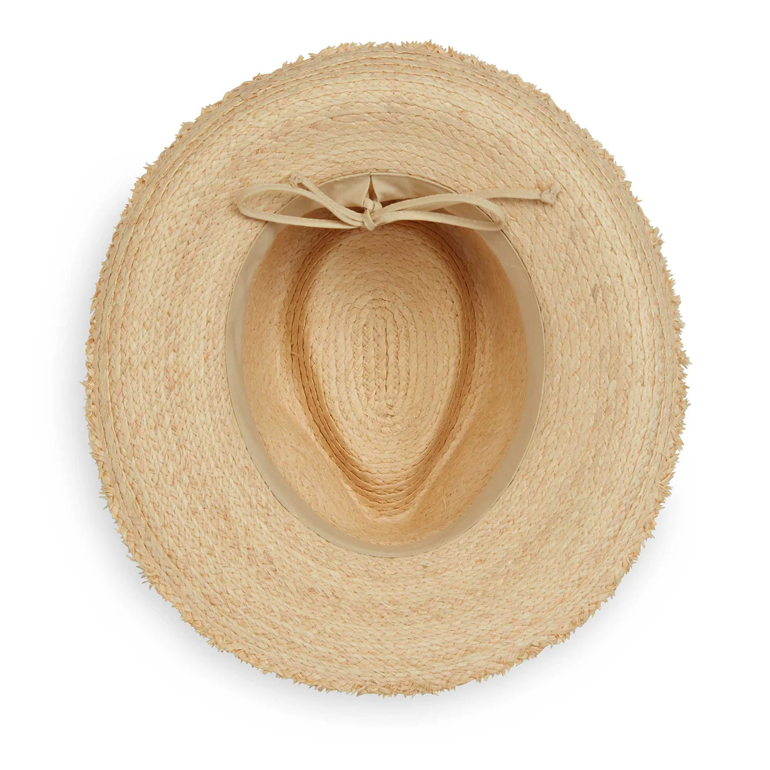 Paloma - Image 5