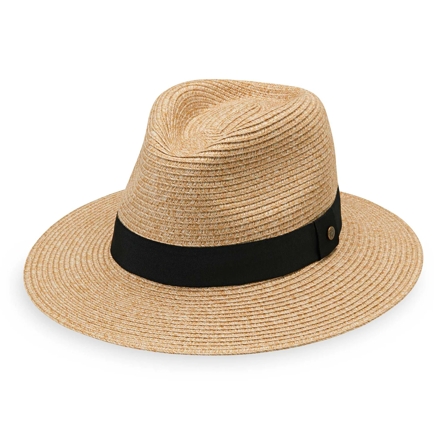 Petite Palm Beach - Image 4