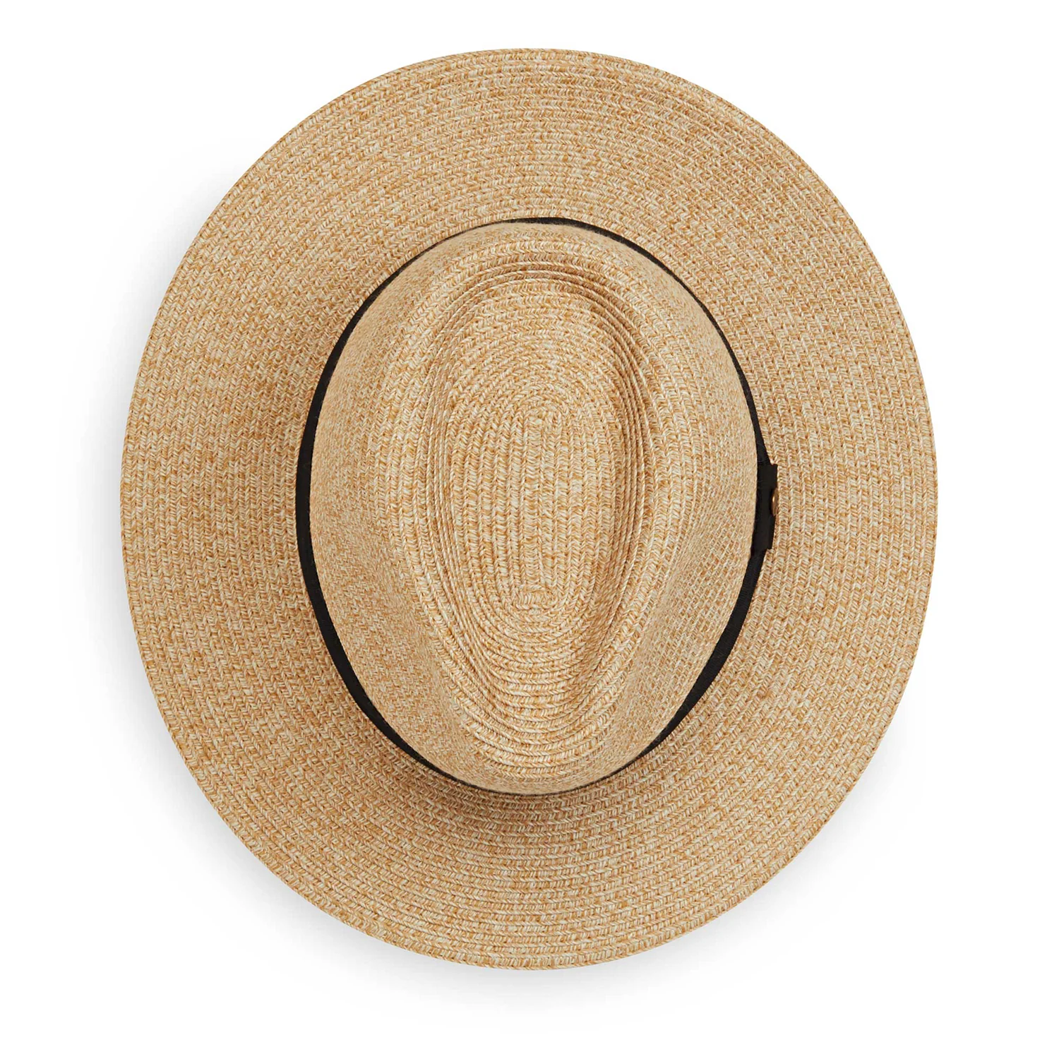 Petite Palm Beach - Image 5