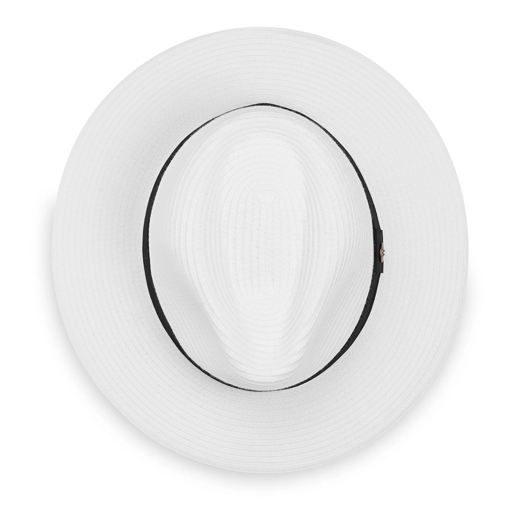 Petite Palm Beach - Image 9