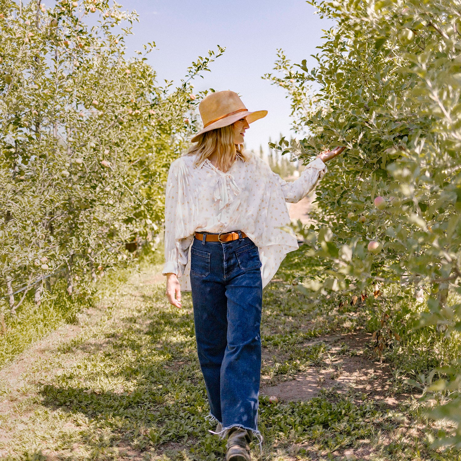 Telluride - Image 5
